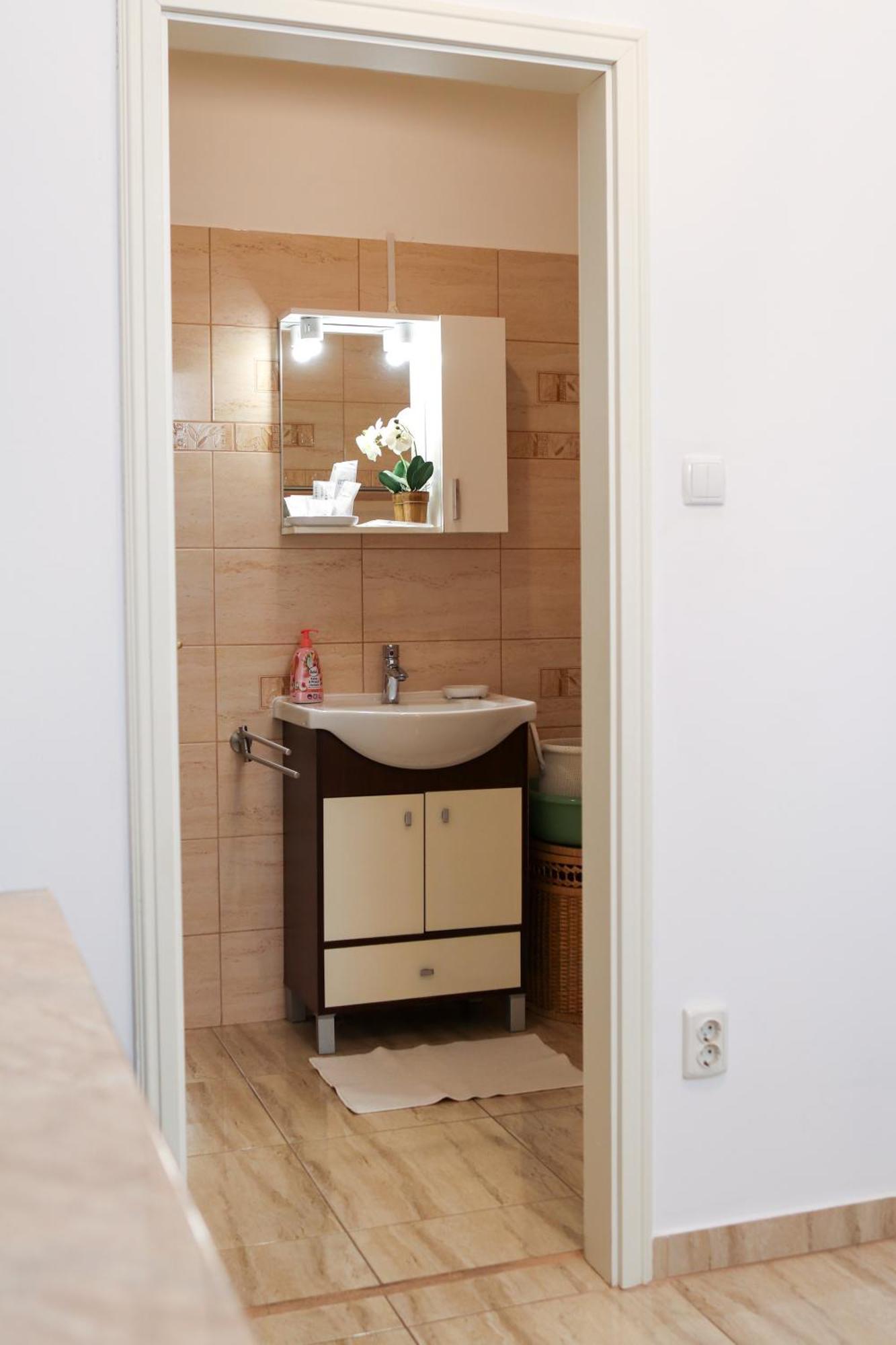 Neuhausz Residenz Ultra-Central Apartment Timisoara Exterior photo